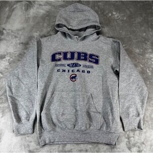 VTG CSA Chicago Cubs Hoodie Mens Medium Gray 2007 MLB National League Graphic